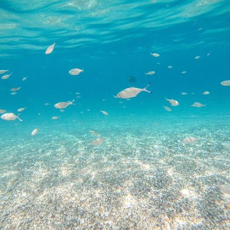 Complejo Turistico Los Bayiyos Agua Amarga  Exteriér fotografie