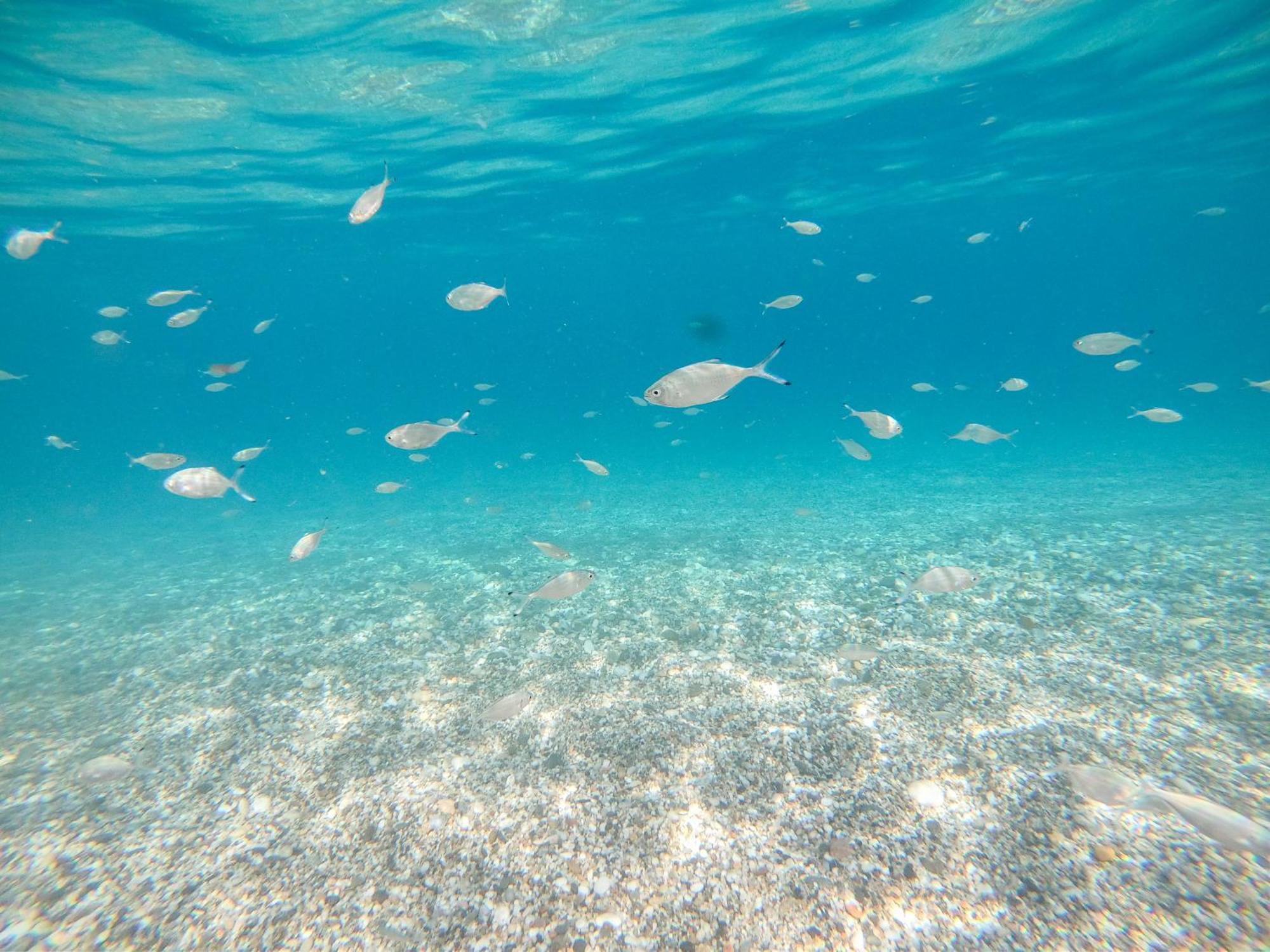 Complejo Turistico Los Bayiyos Agua Amarga  Exteriér fotografie
