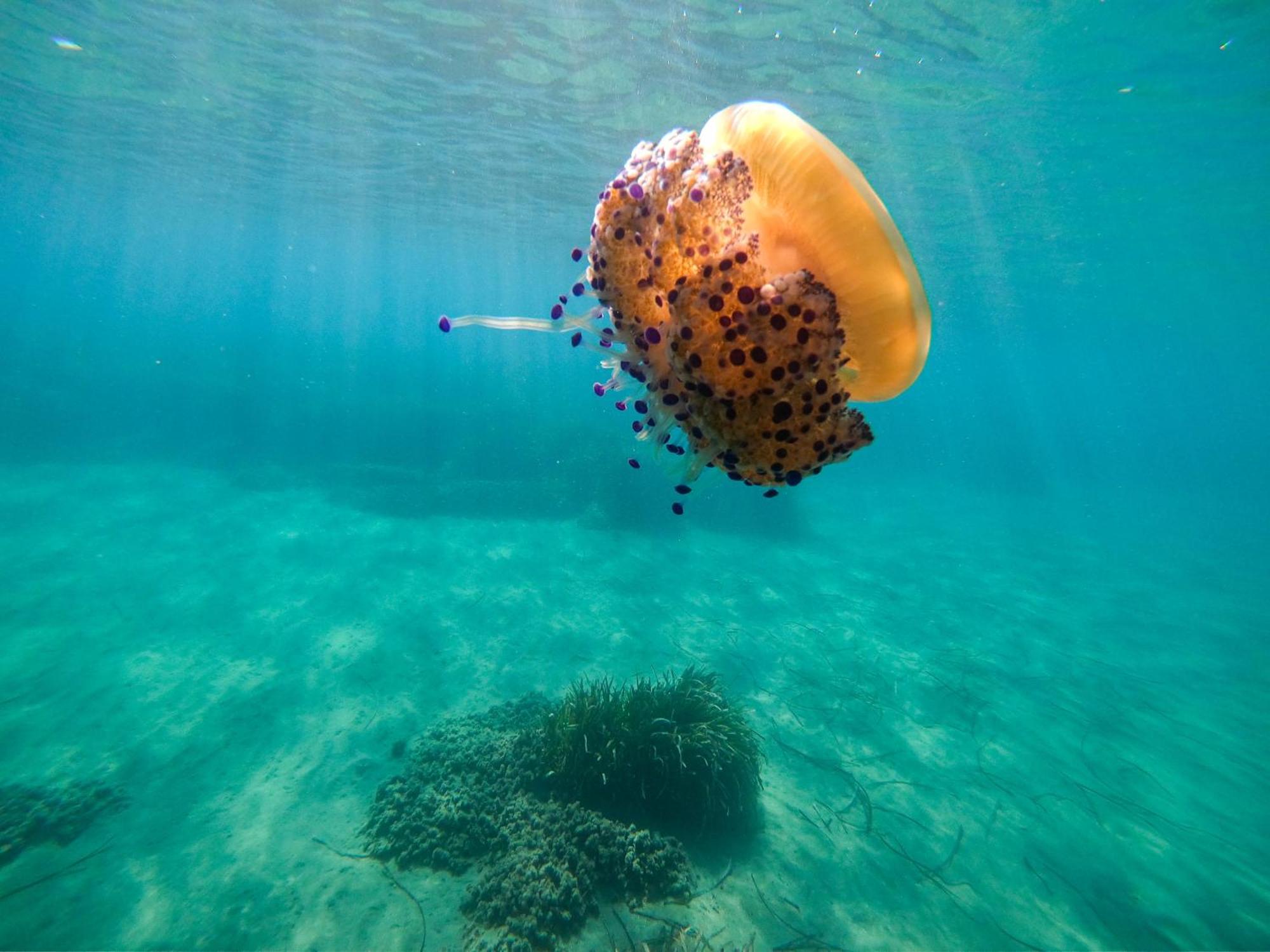 Complejo Turistico Los Bayiyos Agua Amarga  Exteriér fotografie